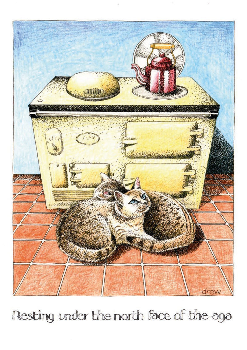 Simon Drew Cards