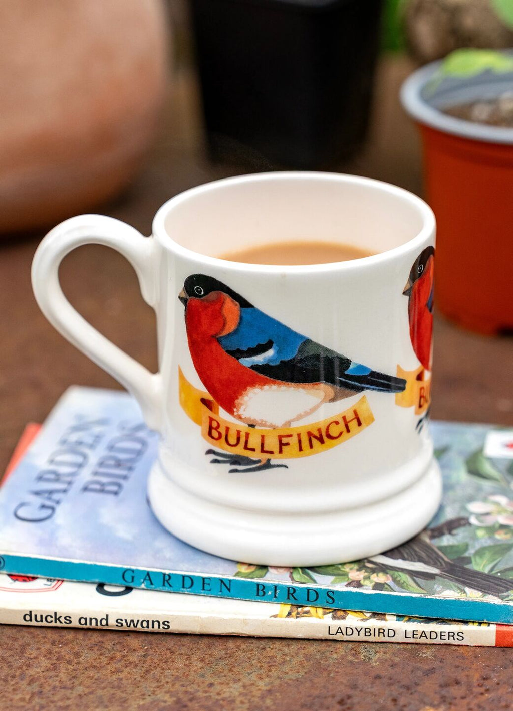 Emma Bridgewater Bullfinch 1/2 Pint Mug