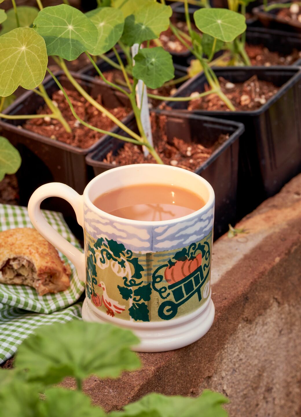 Emma Bridgewater Country Icons Pumpkin Picking 1/2 Pint Mug