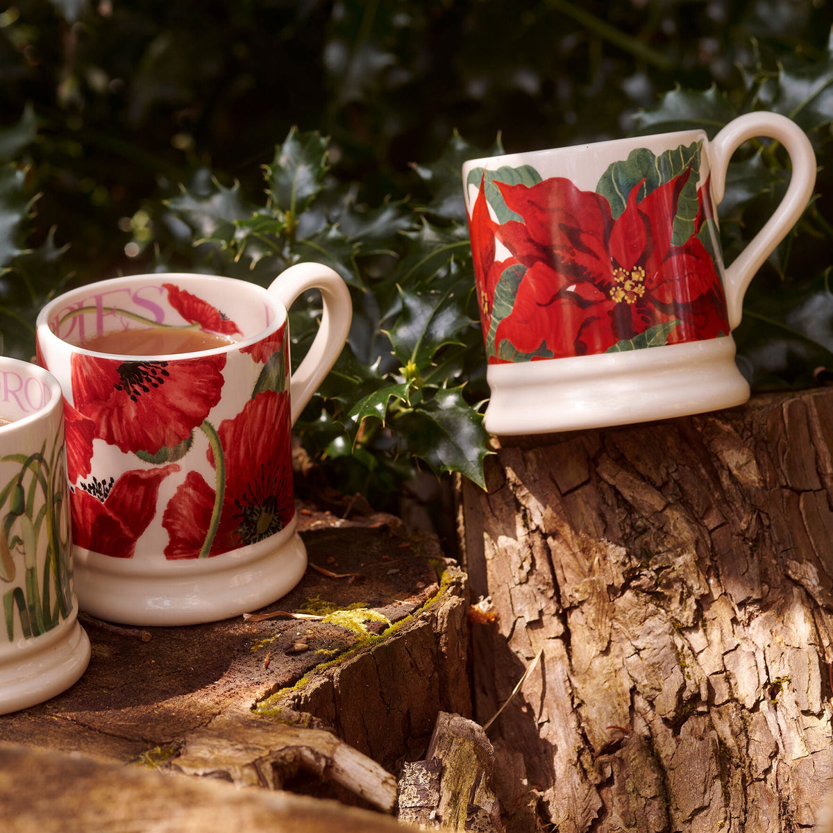 Poinsettia 1/2 Pint Mug
