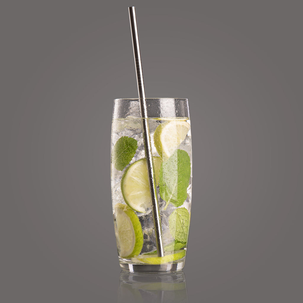 Vacu Vin Stainless Steel 4pc Straw Set with Brush