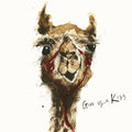 Give Us A Kiss Camel Card