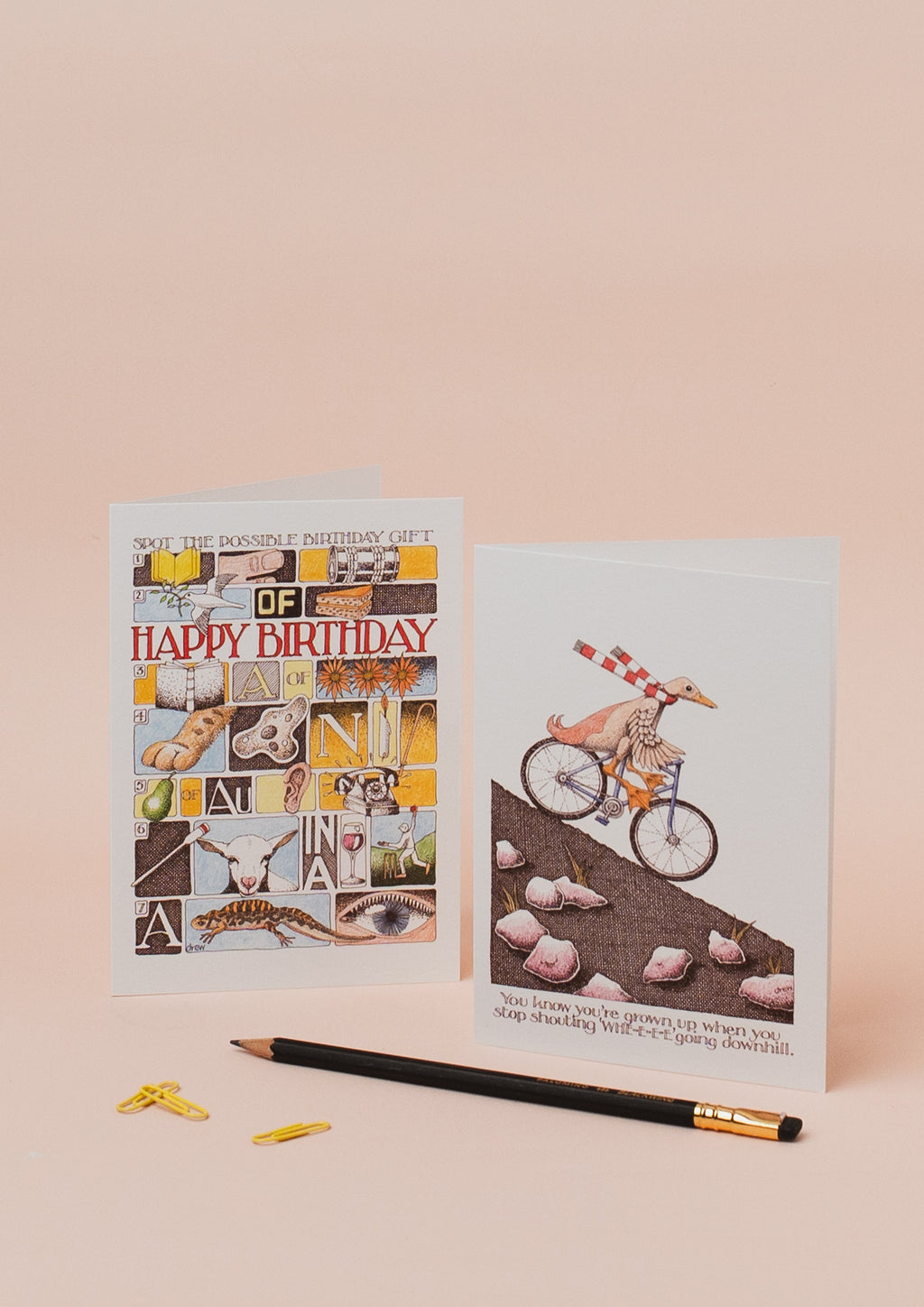 Simon Drew Cards - SPOT IT BIRTHDAY GIFT