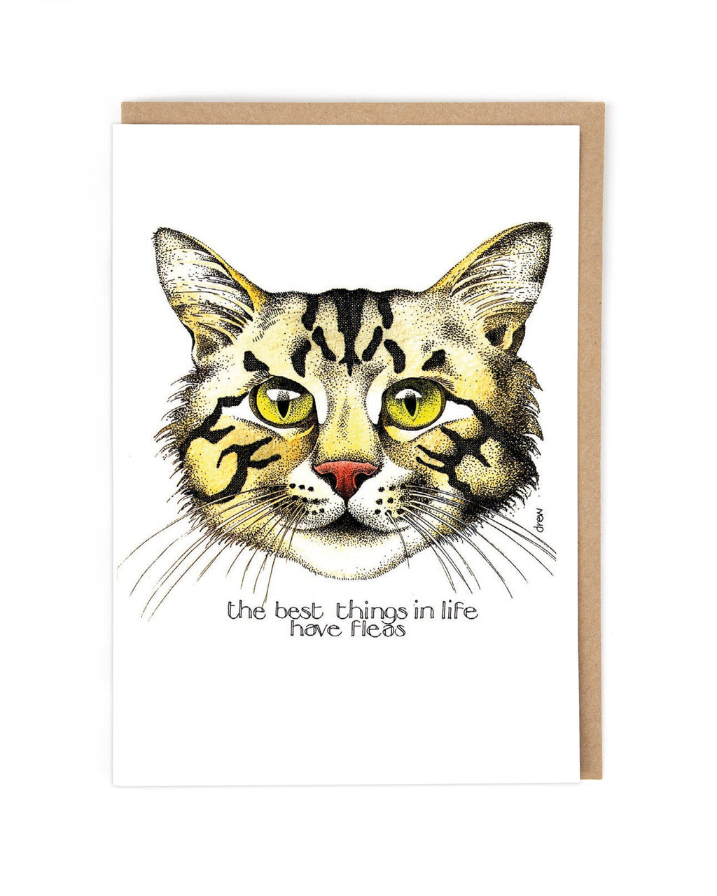  Simon Drew Cards - FLEAS 