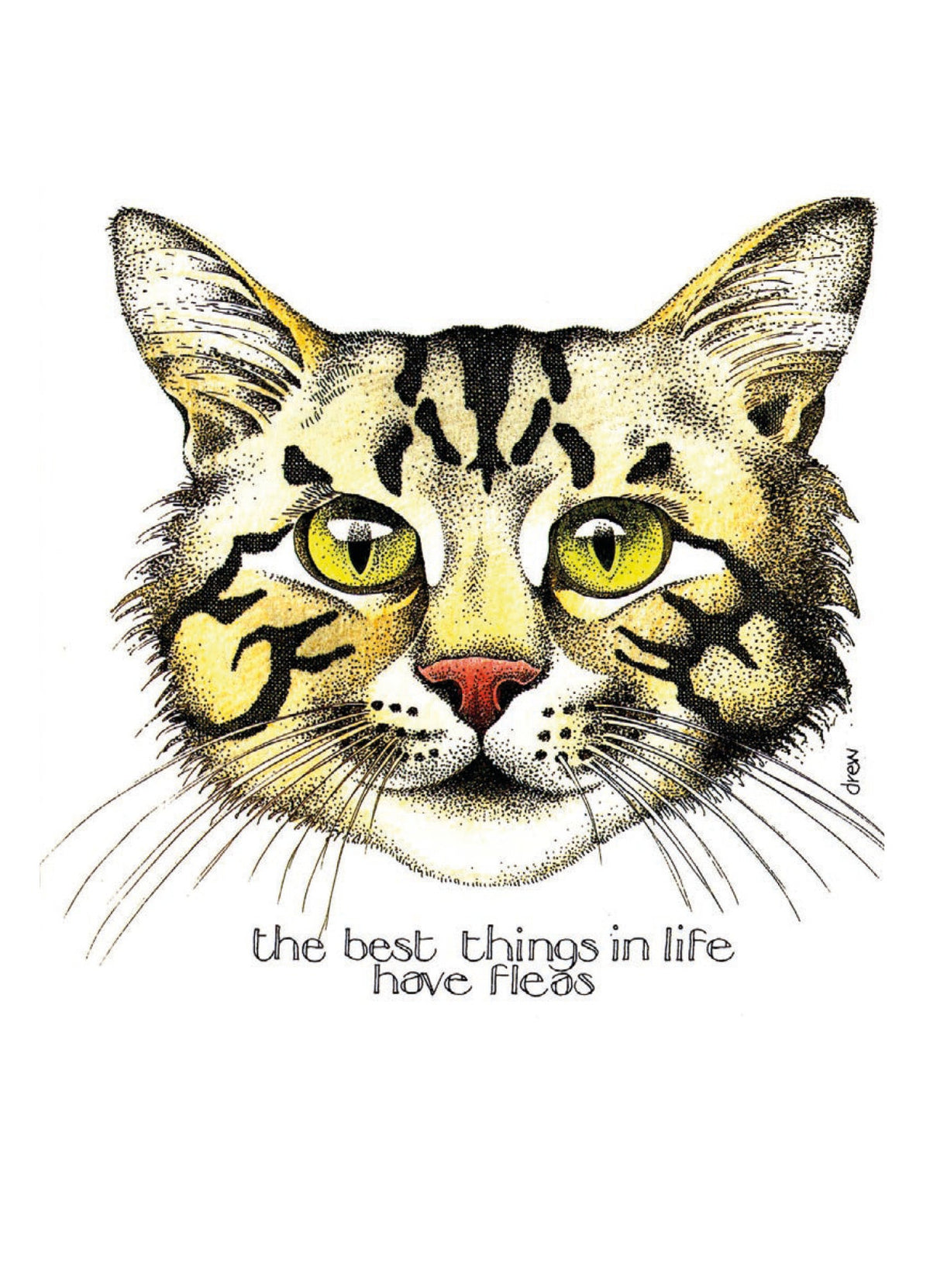  Simon Drew Cards - FLEAS 