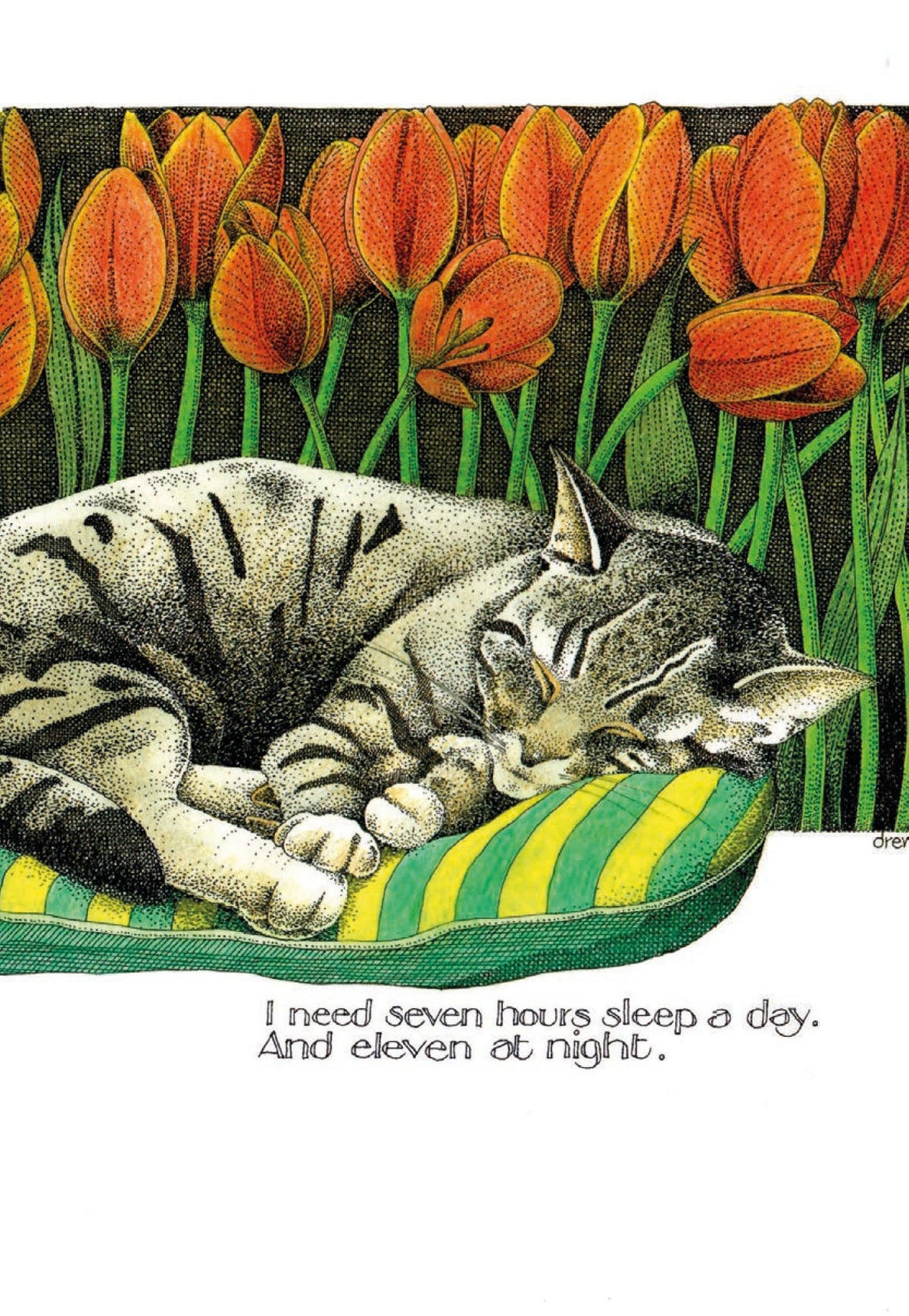 Simon Drew Cards - SEVEN HOURS SLEEP 