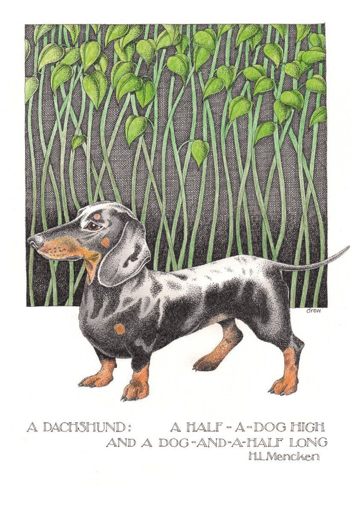Simon Drew Cards - DACHSHUND
