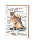 Simon Drew Cards - FELINE ANATOMY 