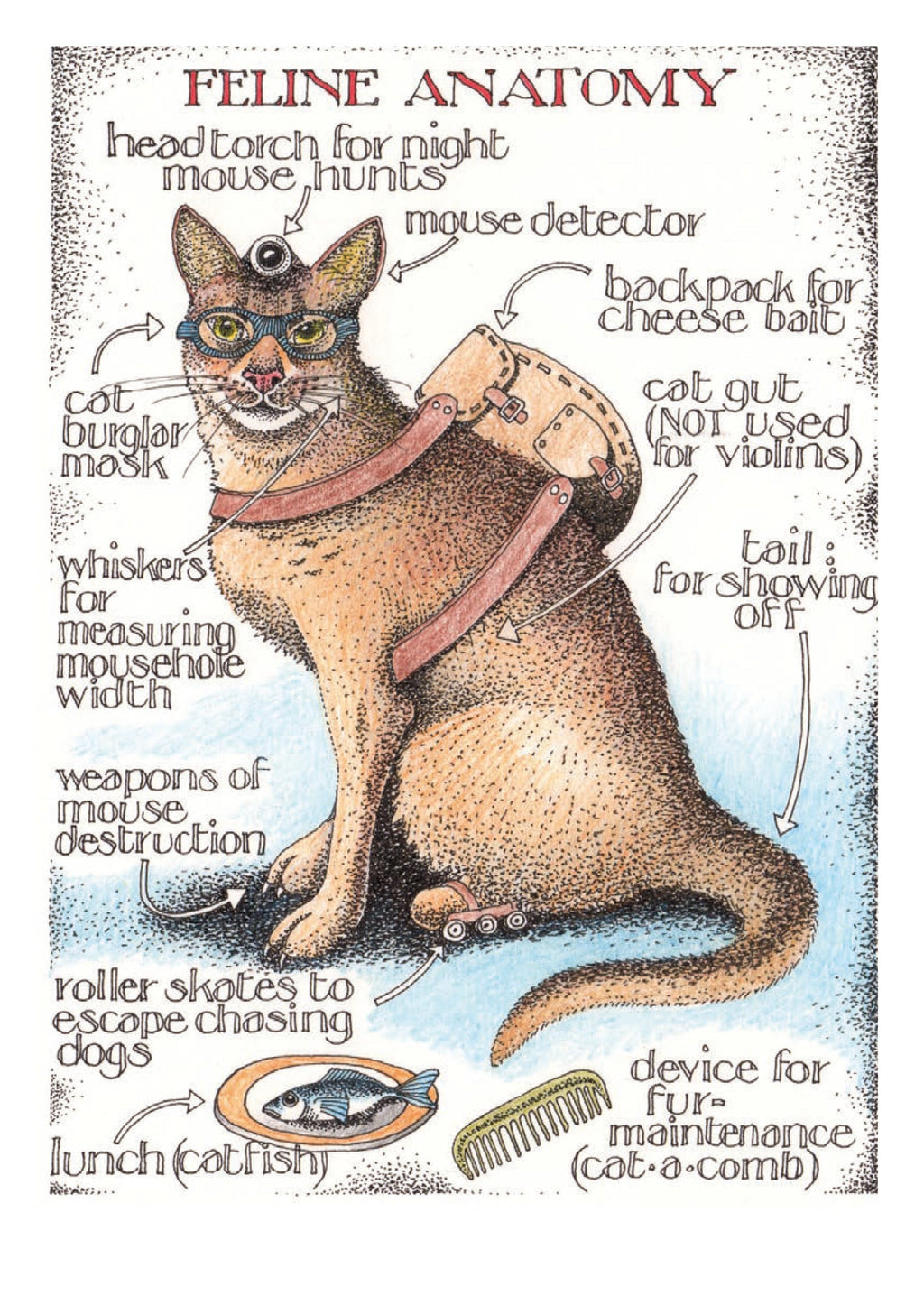 Simon Drew Cards - FELINE ANATOMY 