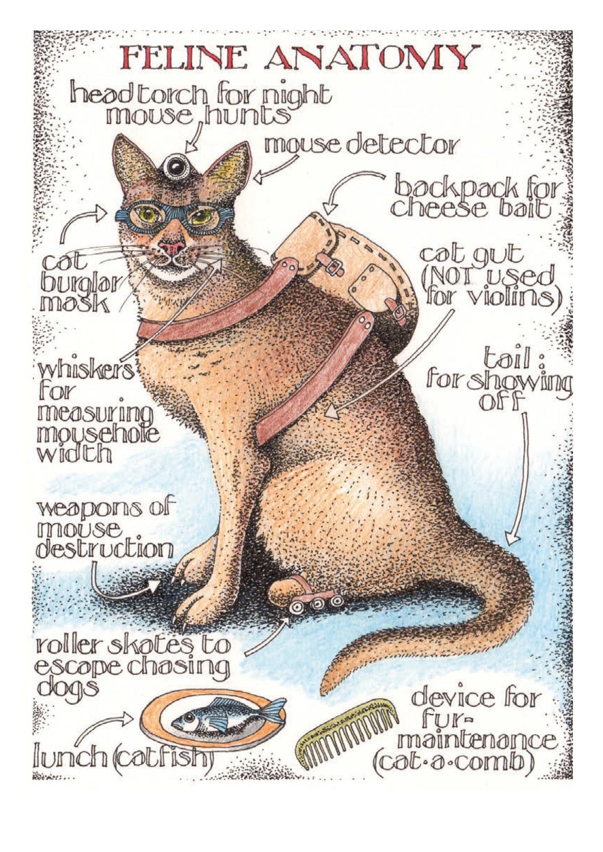 Simon Drew Cards - FELINE ANATOMY 