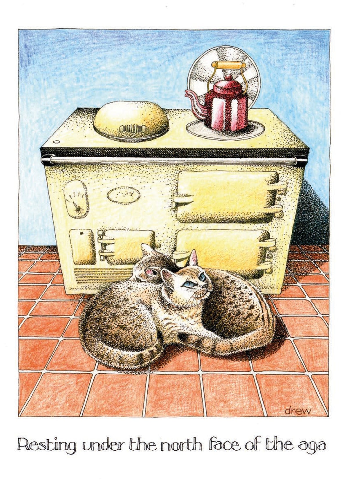 Simon Drew Cards - AGA 