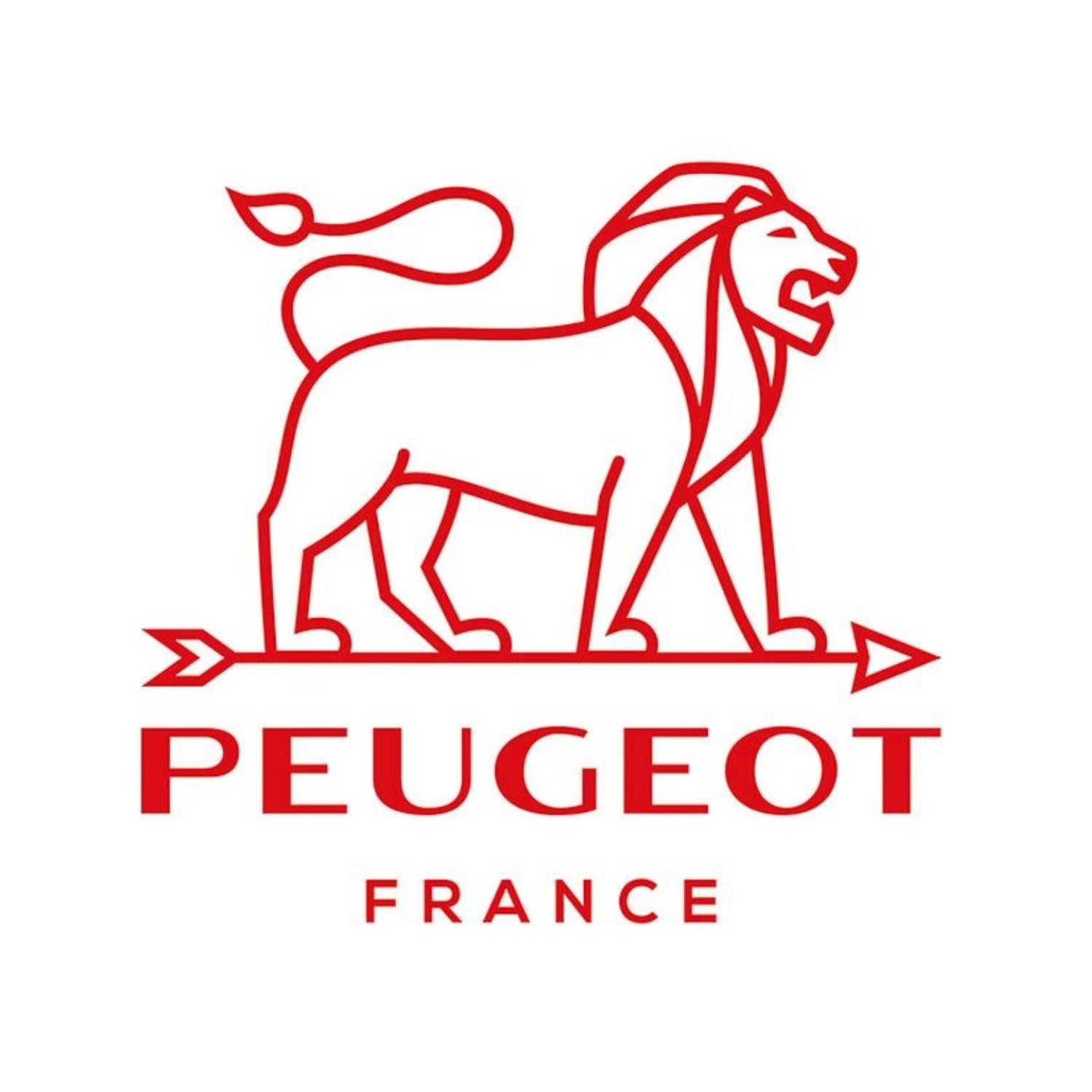 Peugeot Daman Pepper Mill 21cm Silver